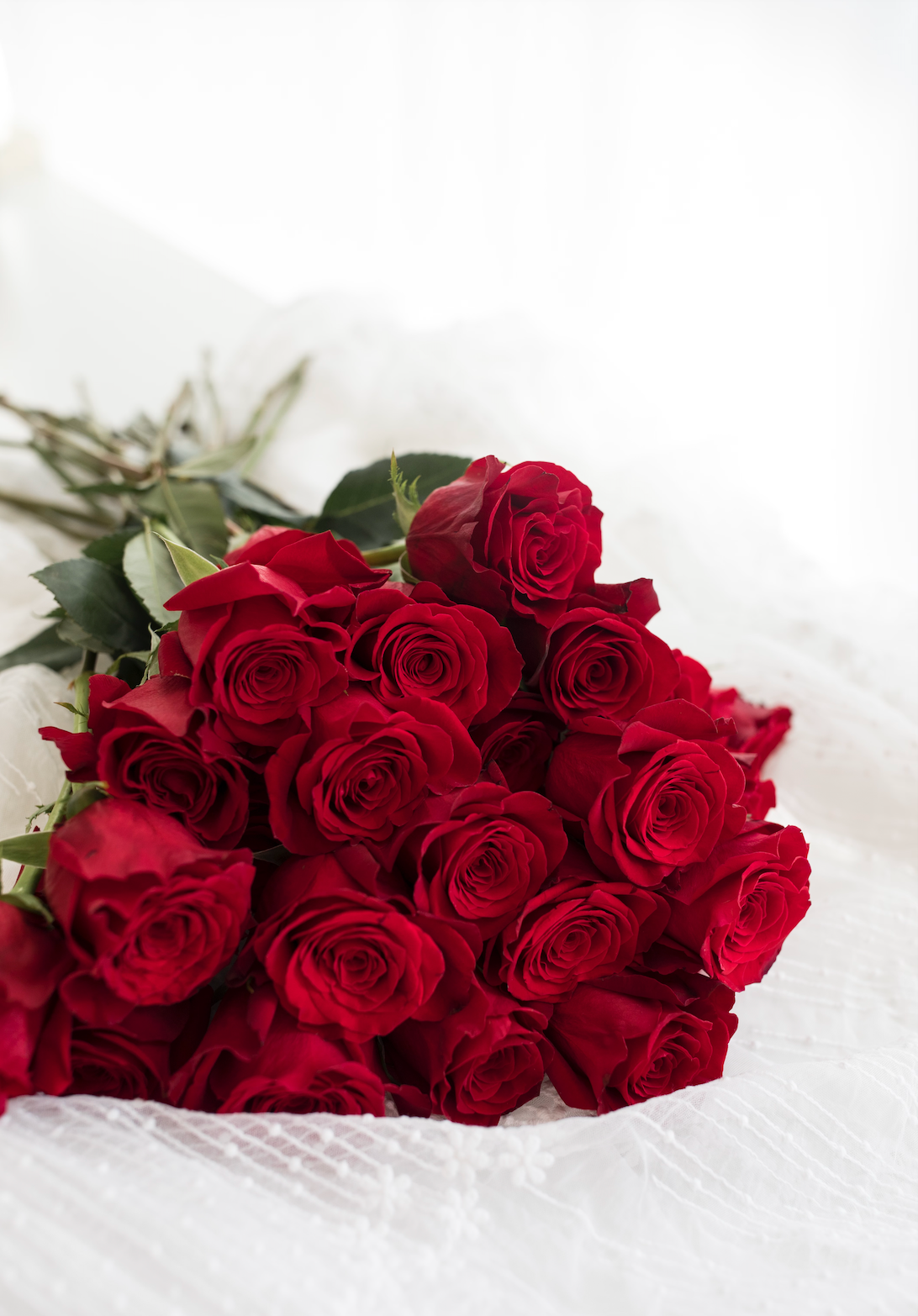 Red Roses