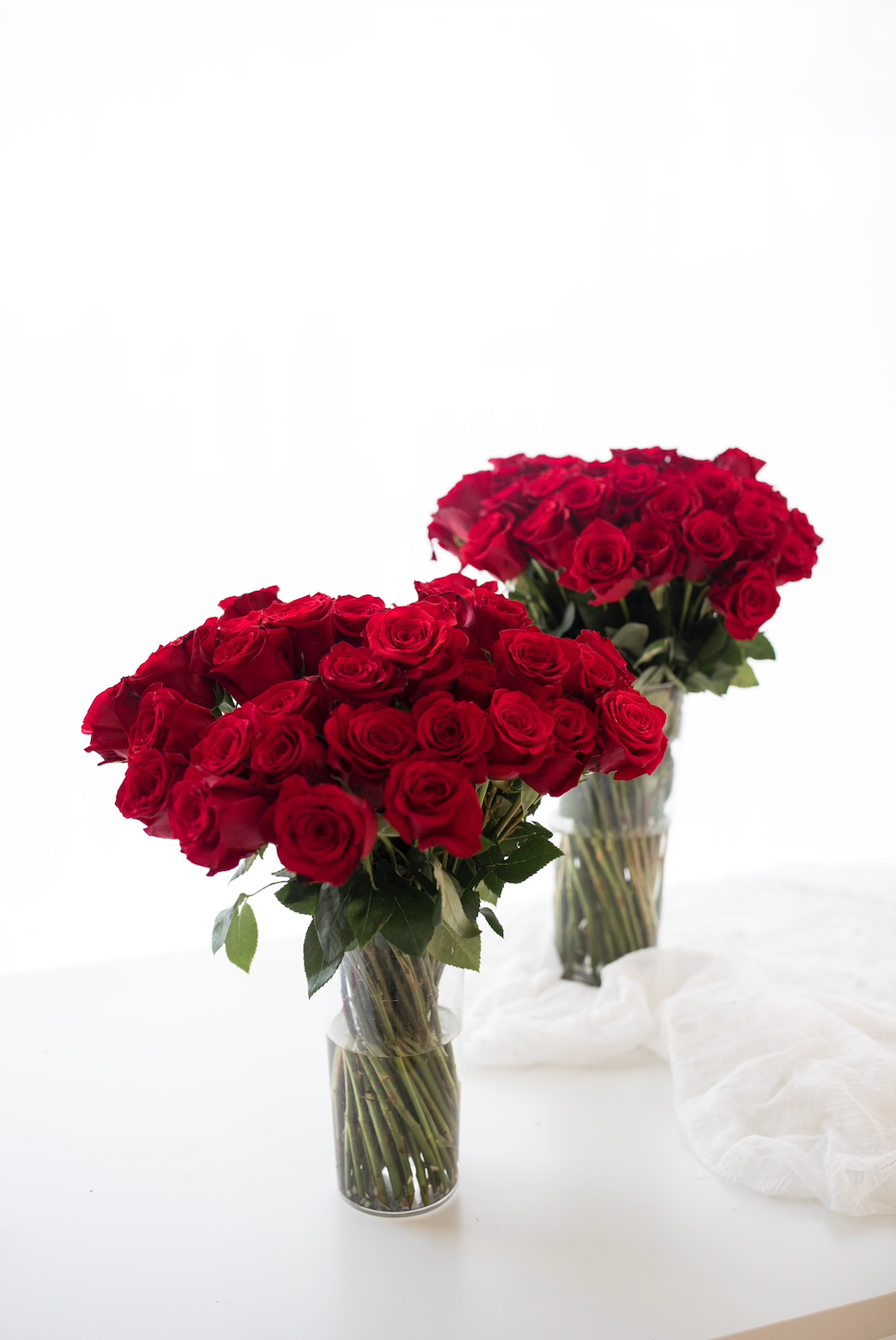Red Roses