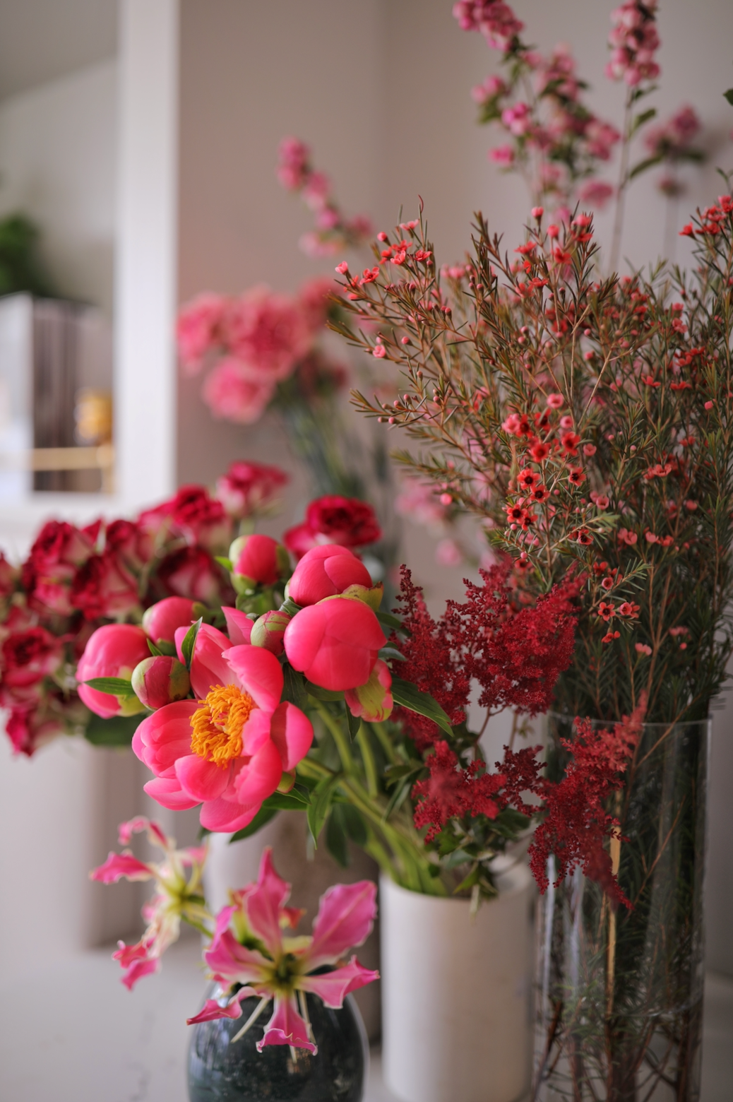 The Premium Subscription