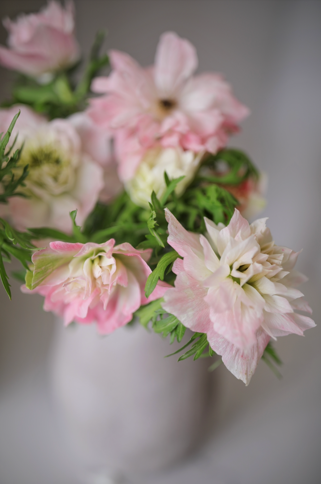 The Classic Subscription