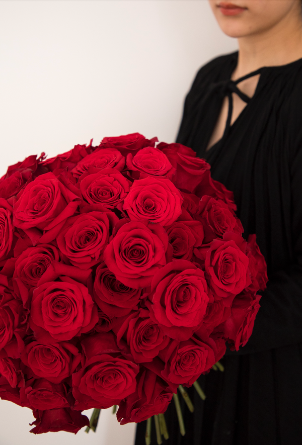 Red Roses