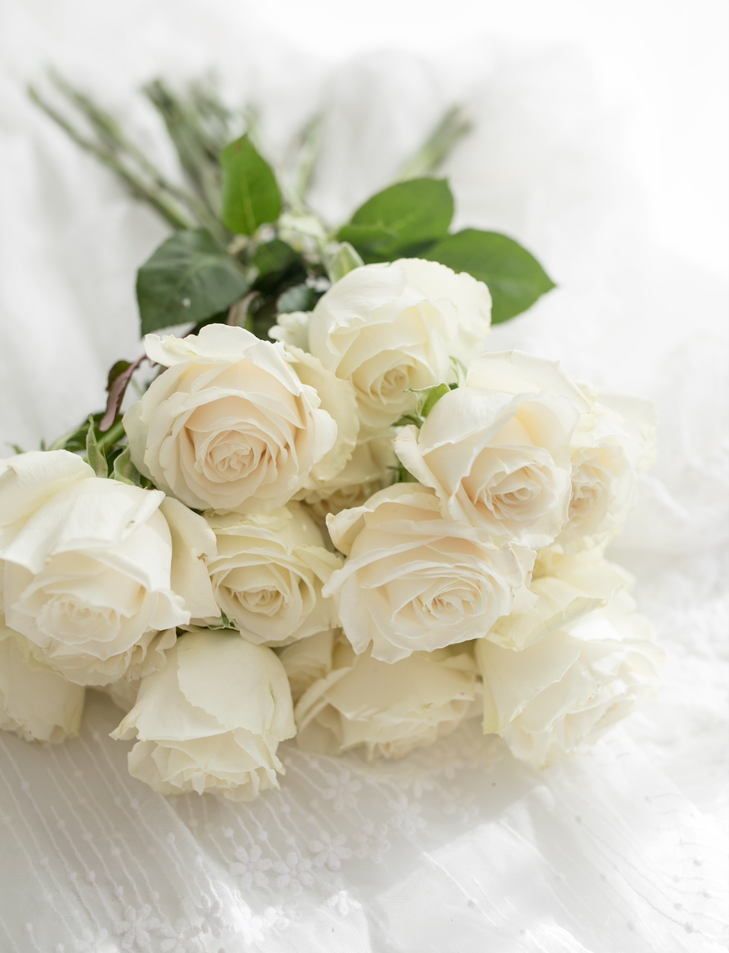 Flowers Pictures White Roses Walmart Freshly Real Stem Rose Bouquet