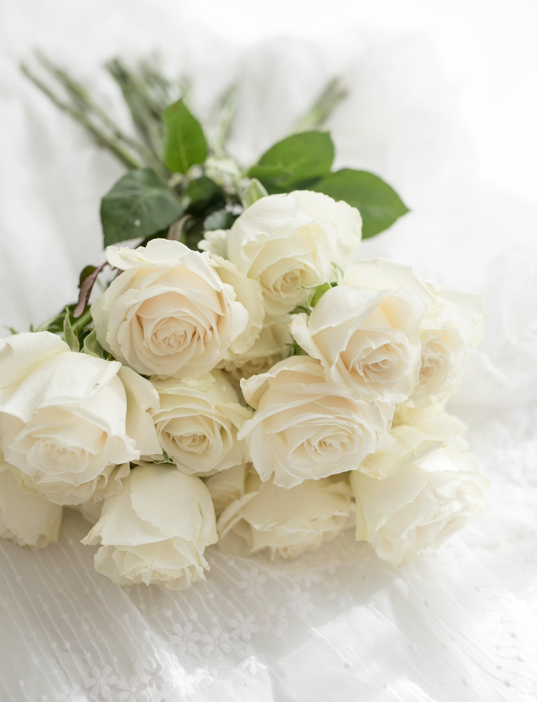 White Roses