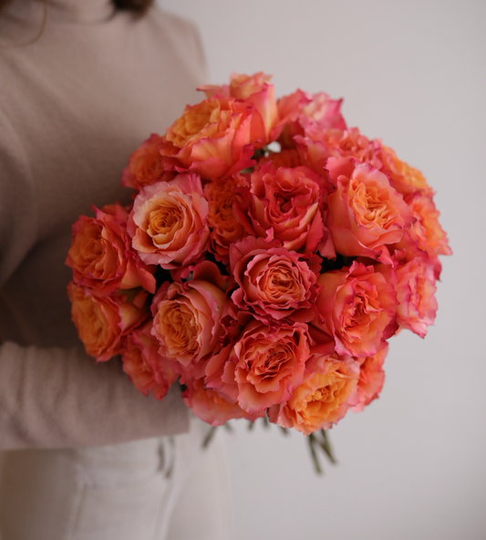 Orange Roses